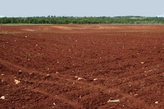 Особенности кредитования для сельского хозяйства